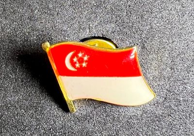 Singapore pin