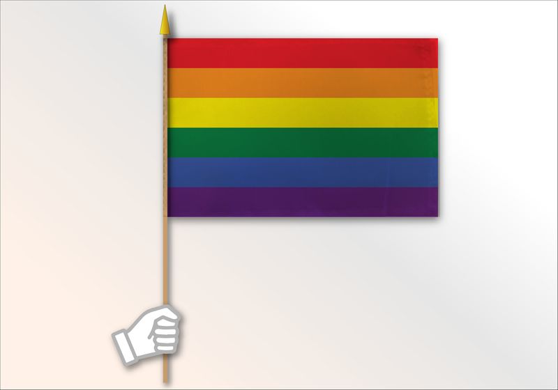 Pride Rainbow Flag Medium 12x18