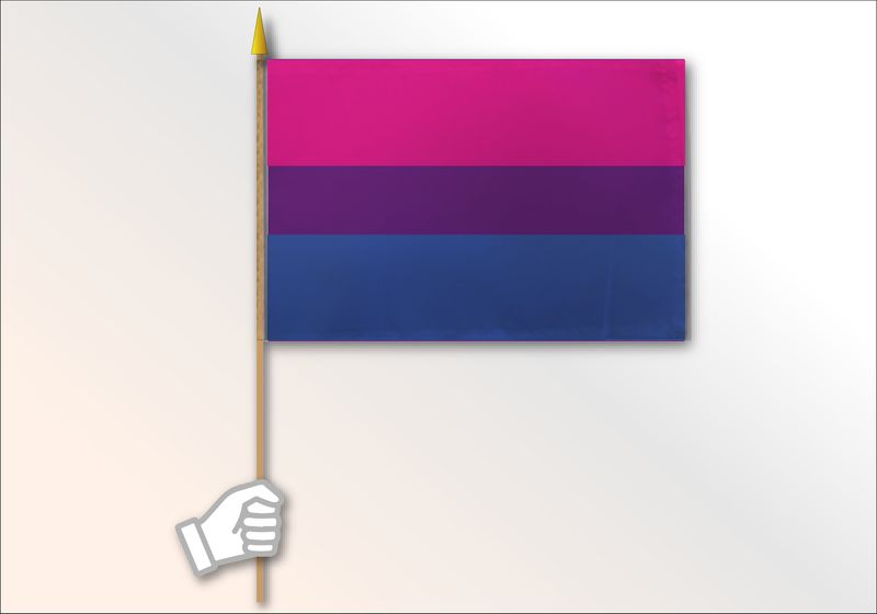 Bisexual Pride Flag Medium 12x18
