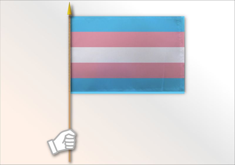 Trans Pride Medium Flag 12x18