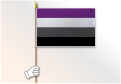 Asexual Pride Flag Medium 12x18