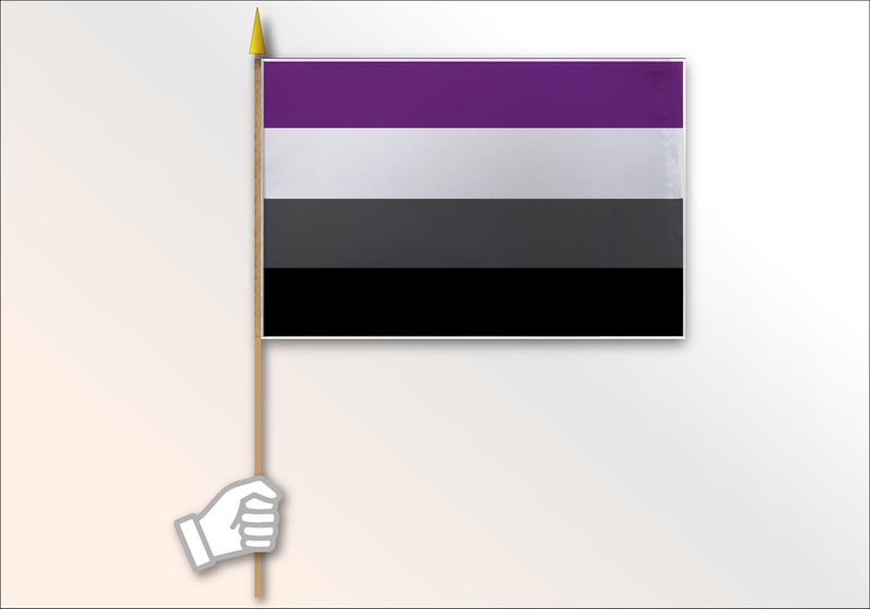 Asexual Pride Flag Medium 12x18
