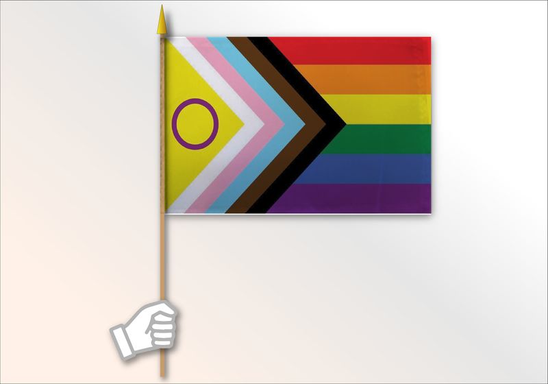 Inclusive Pride with Intersex Symbol Medium Flag 12x18