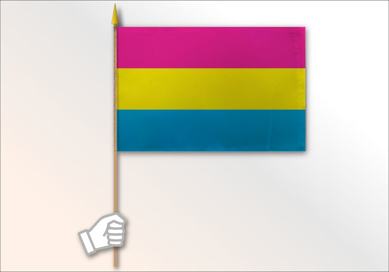 Pansexual Pride Flag Medium 12x18
