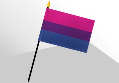 Bisexual Pride Small Flag 4x6