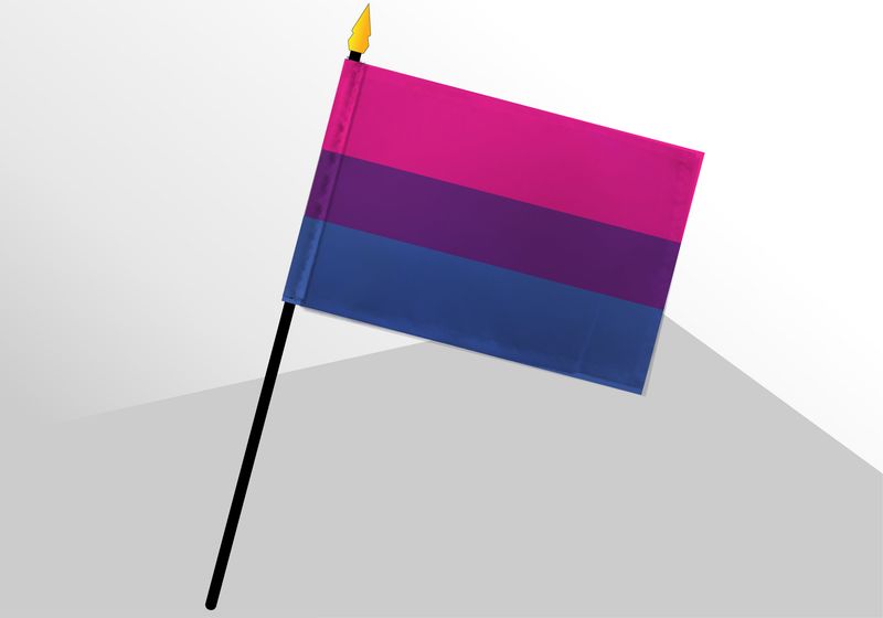 Bisexual Pride Small Flag 4x6