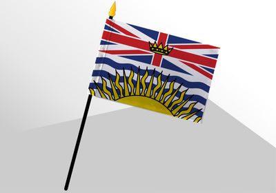 British Columbia small standard flag 4x6