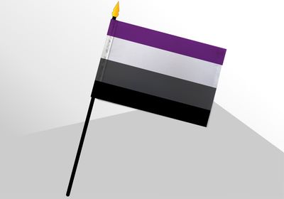 Asexual Pride Small Flag 4x6
