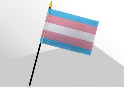 Trans Pride Small Flag 4x6