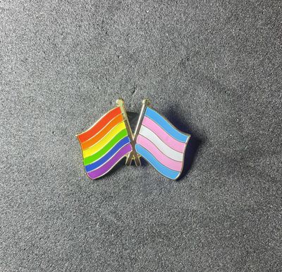 Friendship Pride Pin