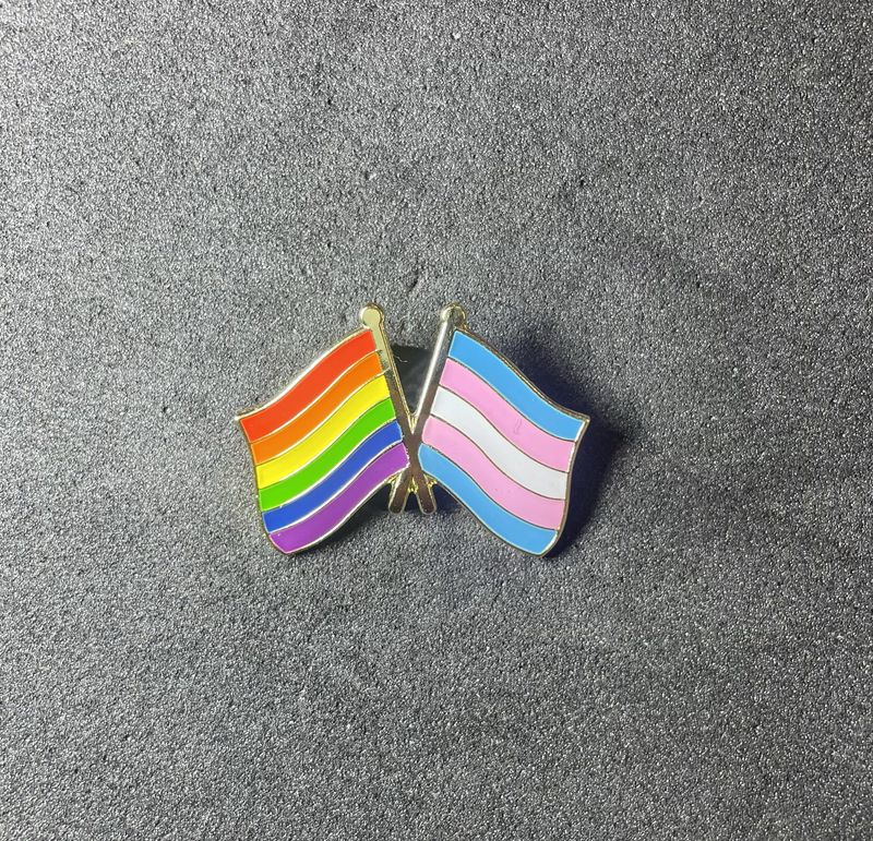 Friendship Pride Pin