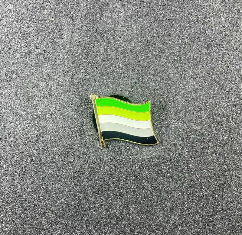 Aromantic Pride Pin