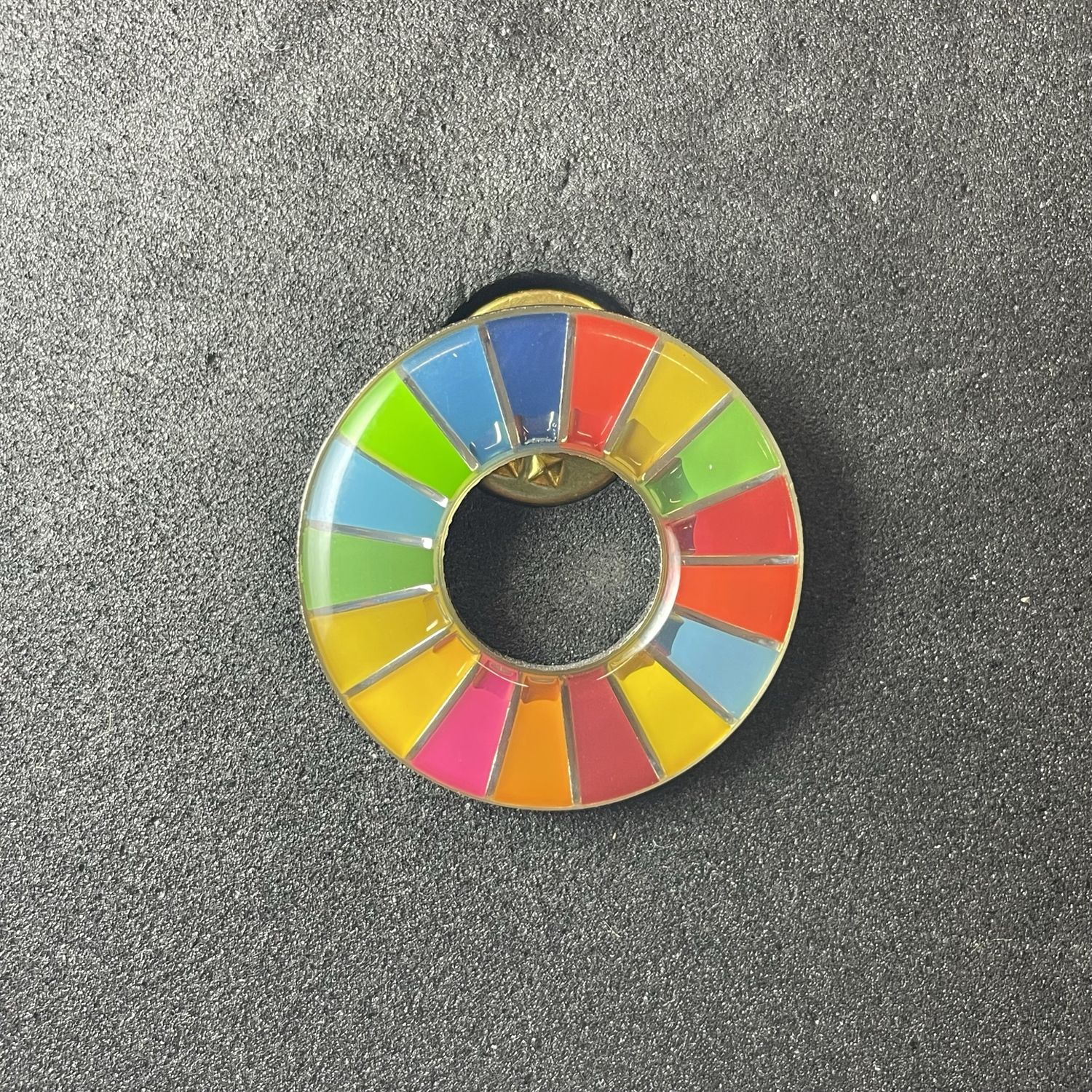 Sustainable Development pin