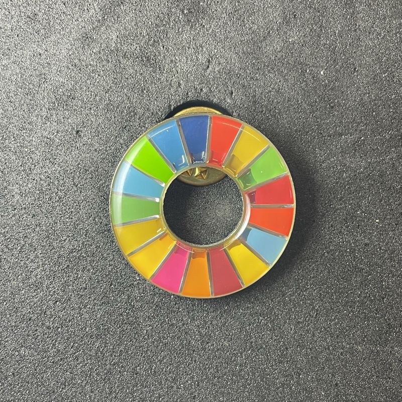 Sustainable Development pin