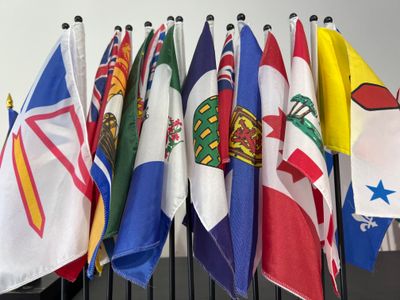 Small Stick Flags 6x10