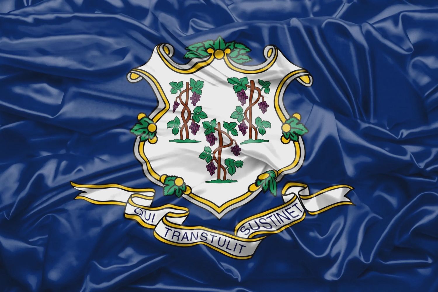 Connecticut flag large 36x60