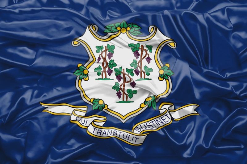 Connecticut flag large 36x60