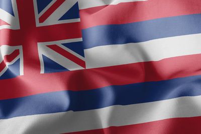Hawaii flag large 36x60