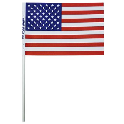 United States small flag 4x6