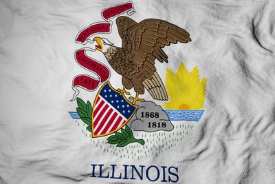 Illinois flag large 36x60