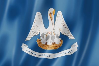 Louisiana flag large 36x60