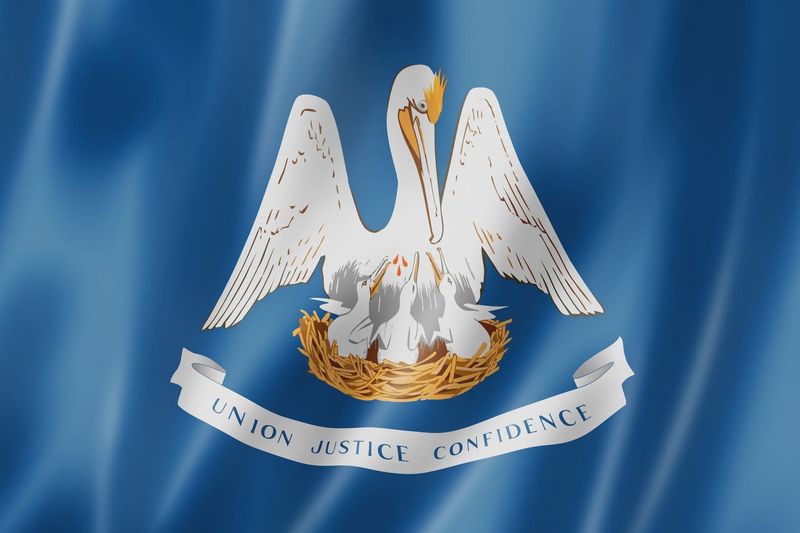 Louisiana flag large 36x60