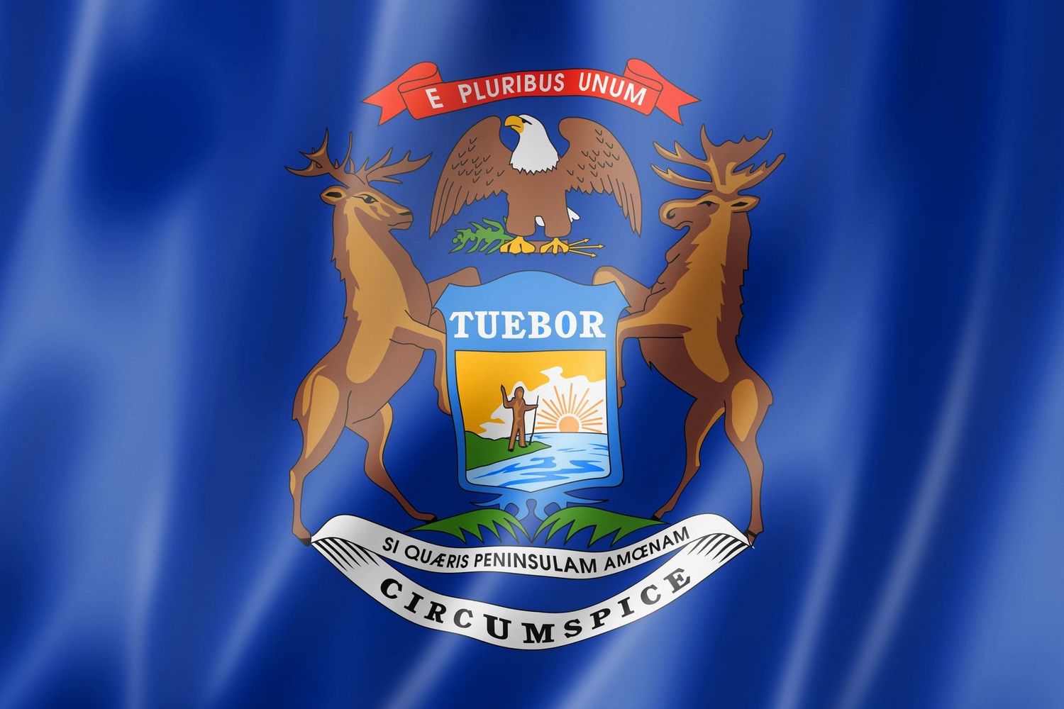 Michigan flag large 36x60