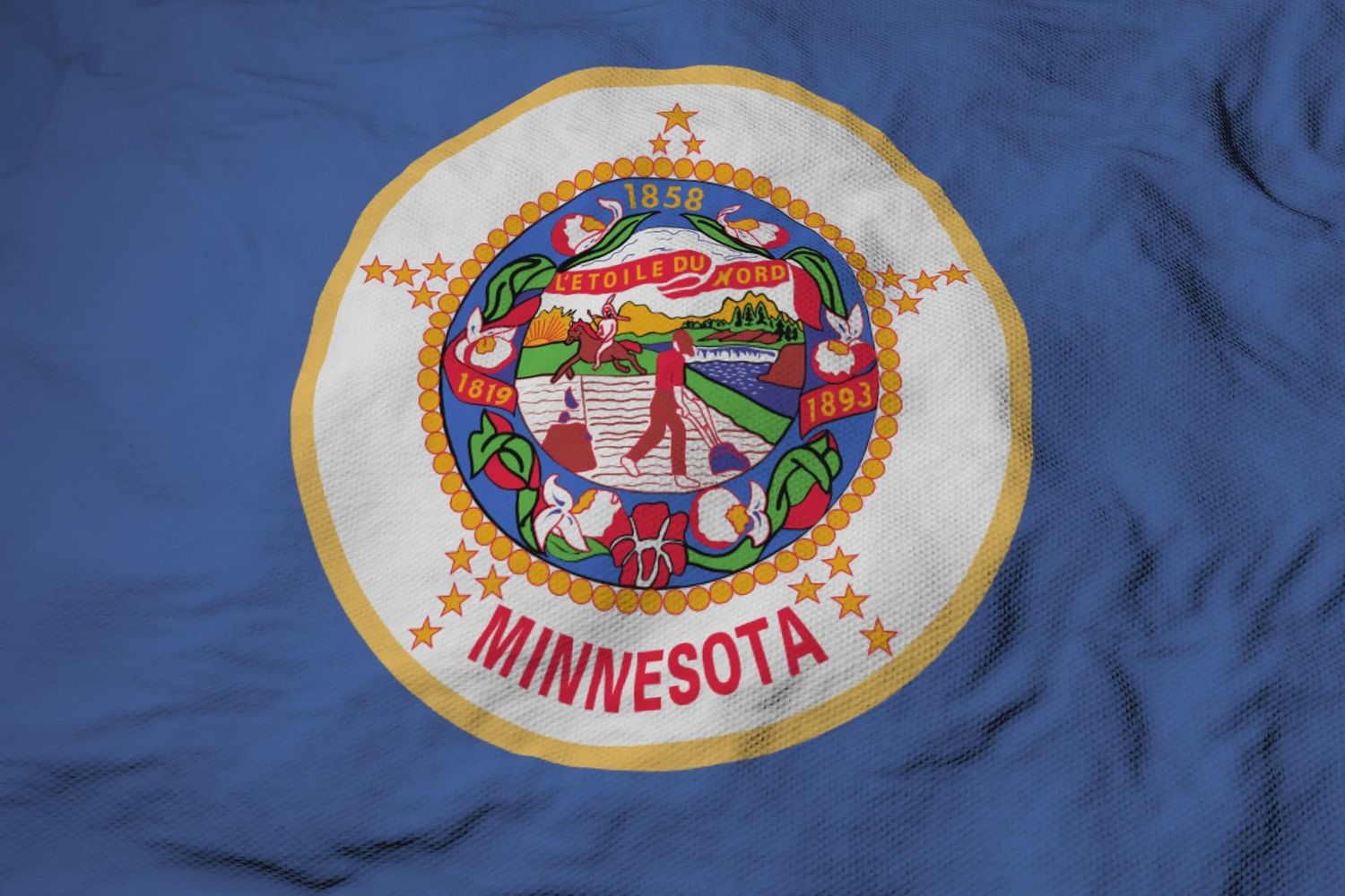 Minnesota flag large 36x60