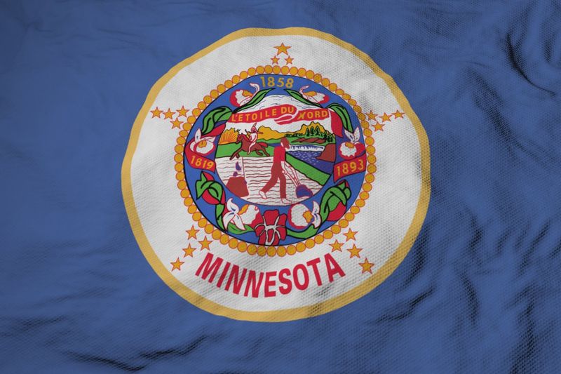 Minnesota flag large 36x60