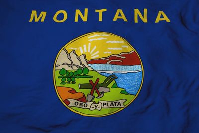 Montana flag large 36x60