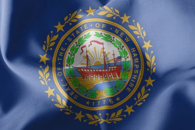 New Hampshire flag large 36x60