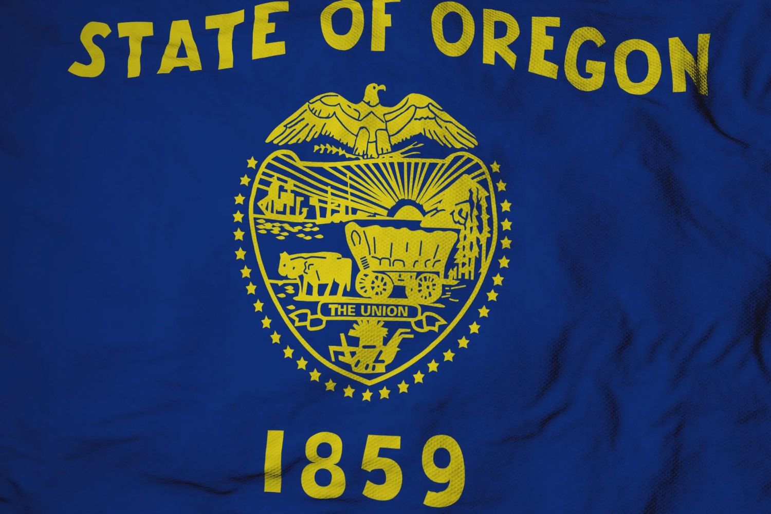 Oregon flag large 36x60