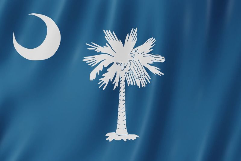 South Carolina flag large 36x60