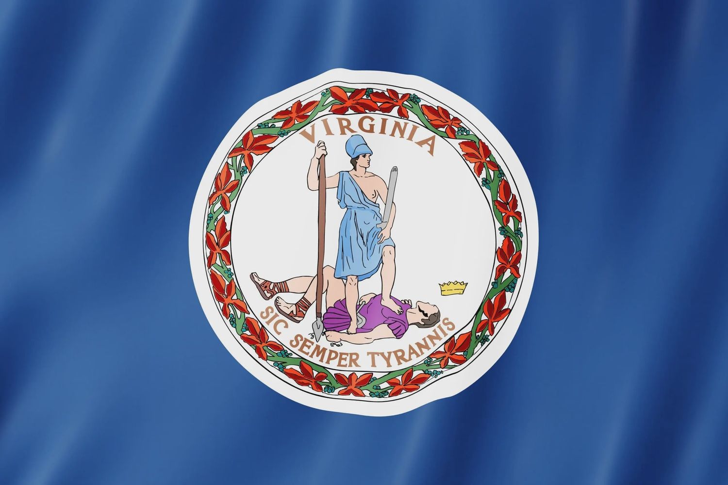 Virginia flag large 36x60