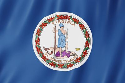 Virginia flag large 36x60