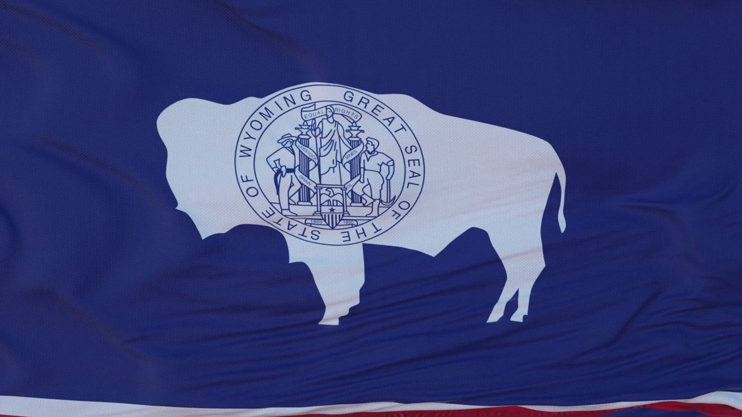 Wyoming flag large 36x60