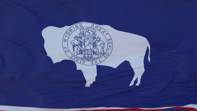 Wyoming flag large 36x60
