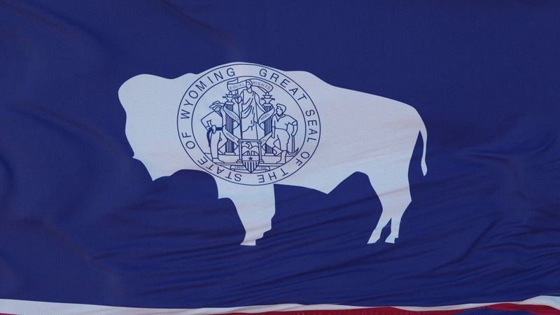 Wyoming flag large 36x60