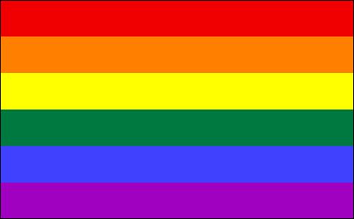 Pride (Rainbow) flag large 36x60