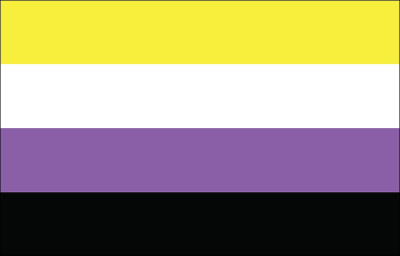 Nonbinary Pride Flag Large 36x60