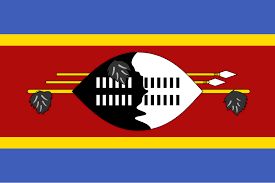 Eswatini small standard flag 4x6