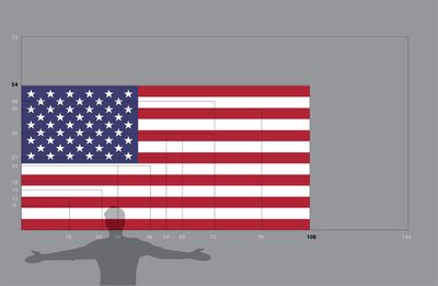 United States flag large 54x108