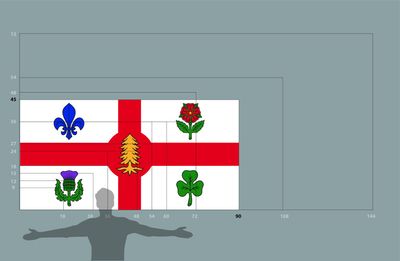 Montreal medium flag 45x90
