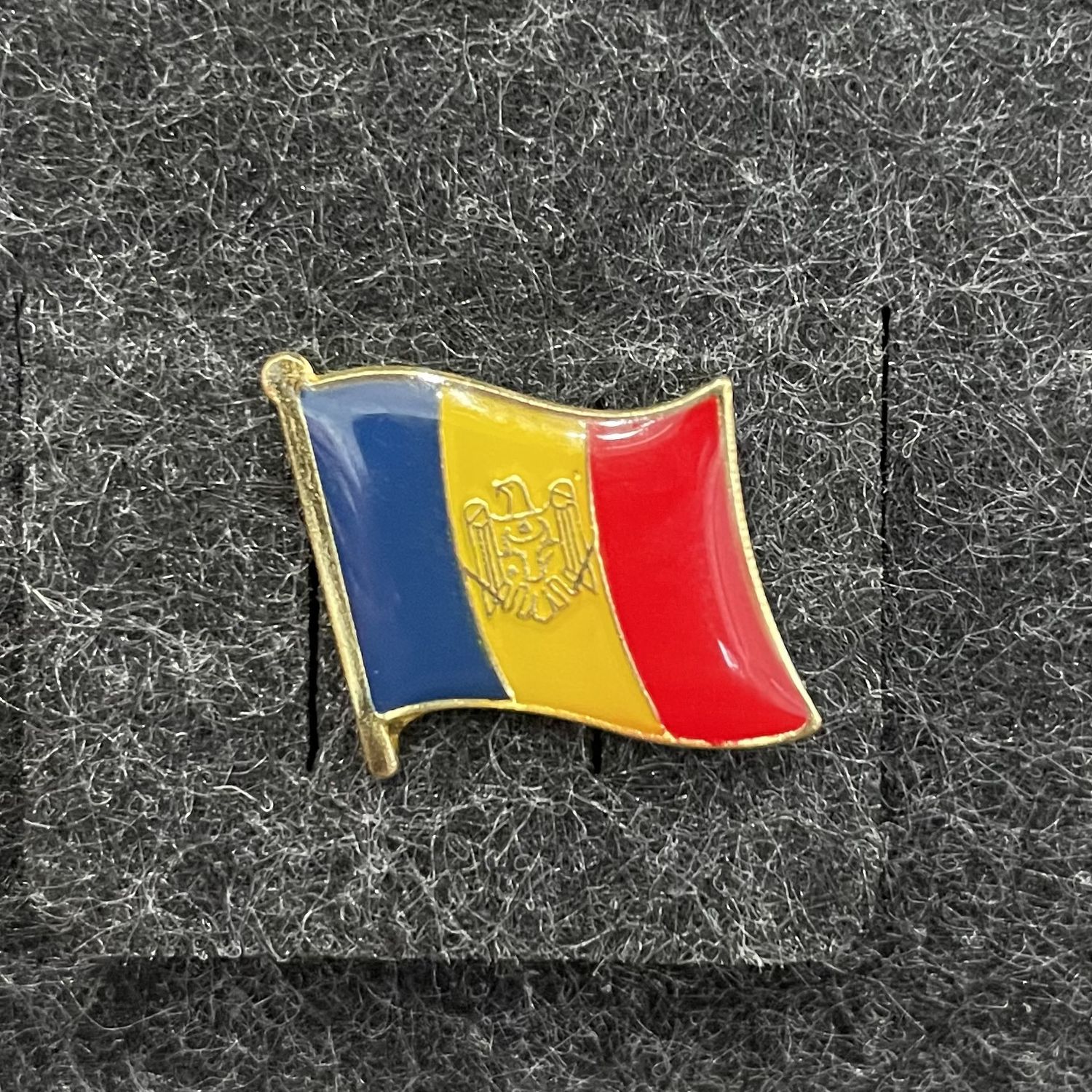 Moldova pin