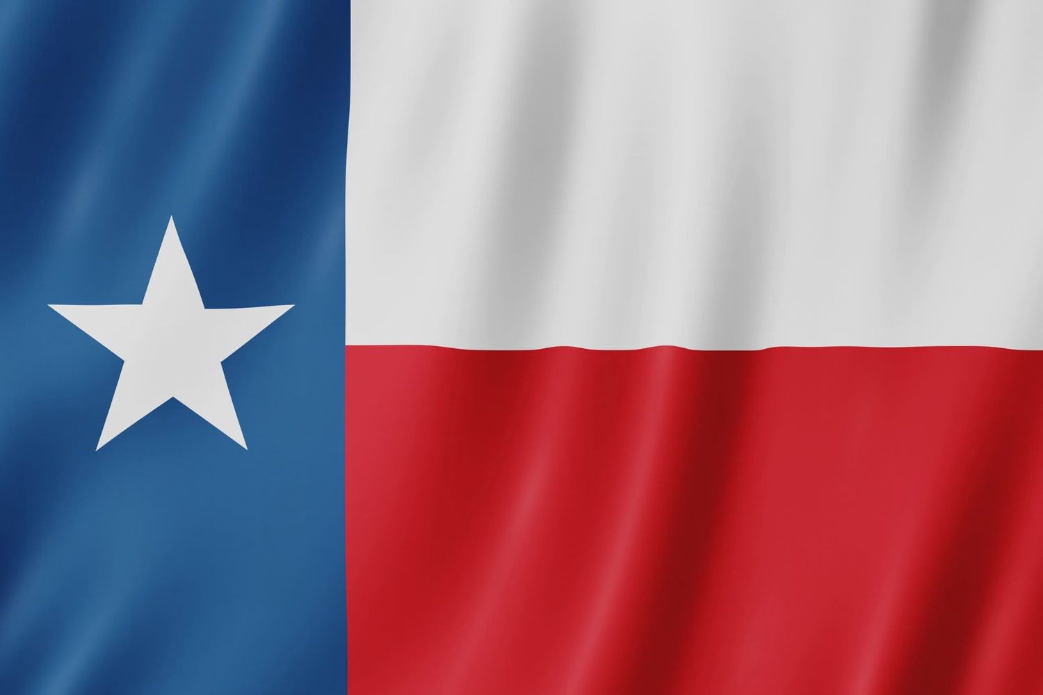 Texas flag large 36x60