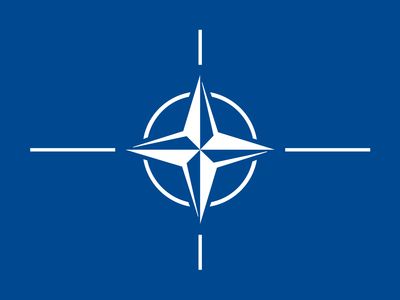 NATO small standard flag 4x6