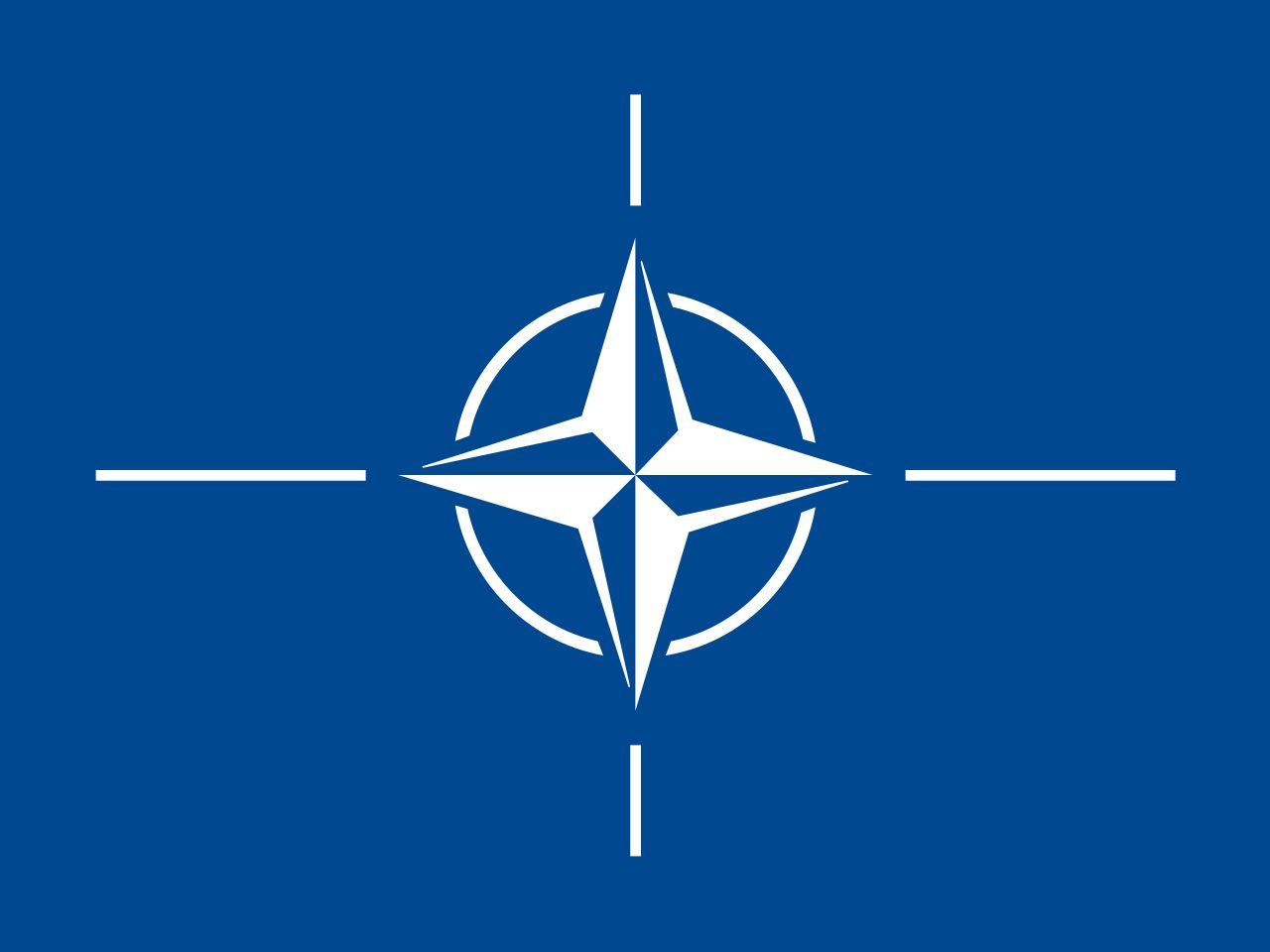 OTAN petit drapeau deluxe 4x6