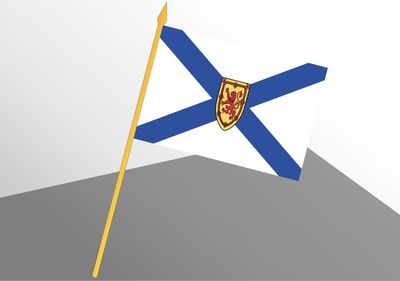 Nova Scotia Small Economy Flag 4x6