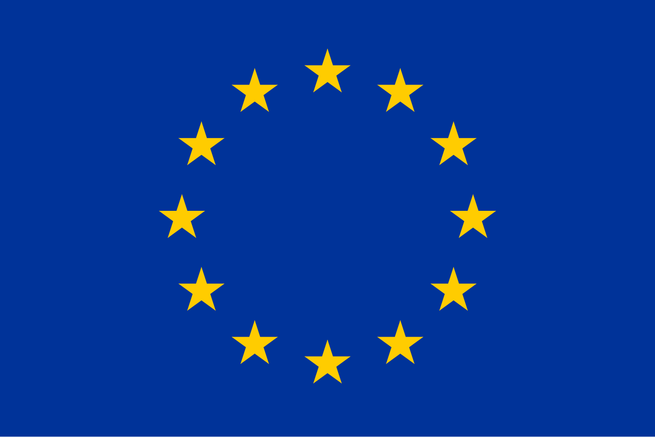 European Union flag large 36x72