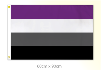 Asexual Pride Medium Flag 24x36